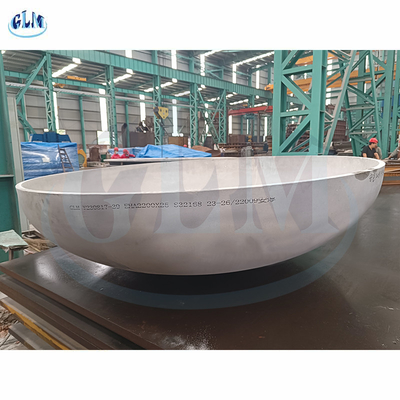 Ellipsoïdale schotel van roestvrij staal Eind 2200 mm Diameter 25 mm Dikte